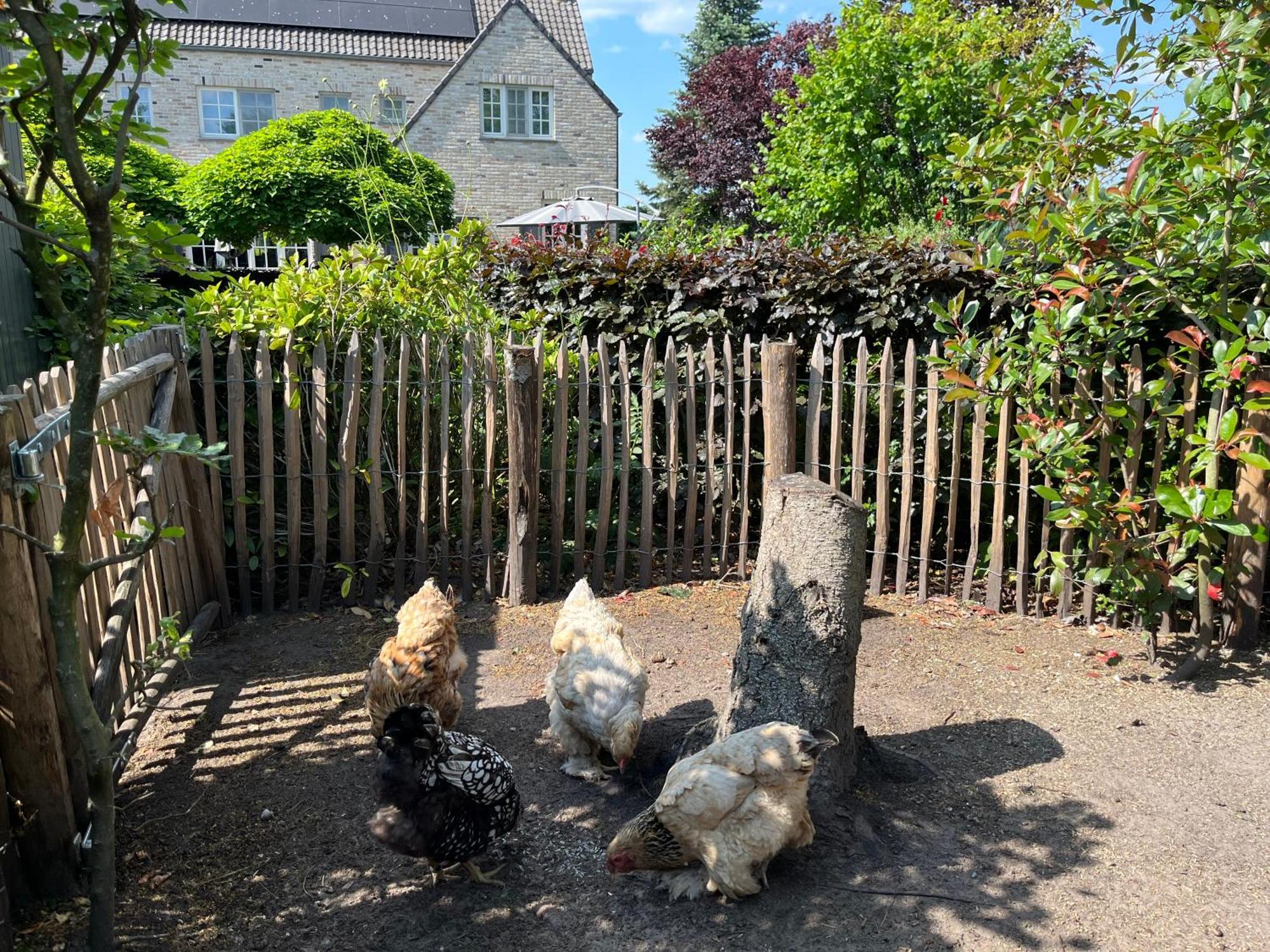 Sfeervol Familielandhuis In De Groene Kempen Baarle-Hertog Exterior foto